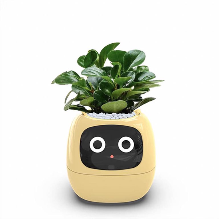 Ivy Smart Planter – Smart Self-Watering Pot with AI Features f