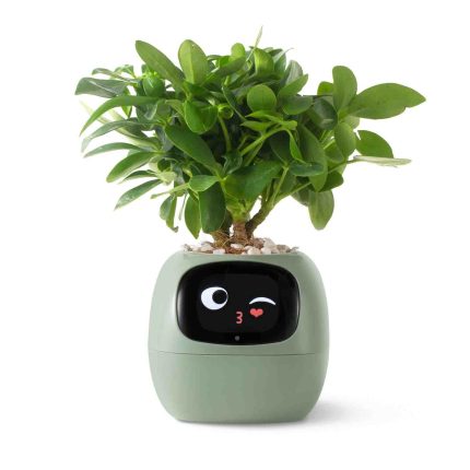 Ivy Smart Planter – Self-Watering Indoor Pot App Control | Perfect for Herbs, smart plants pot